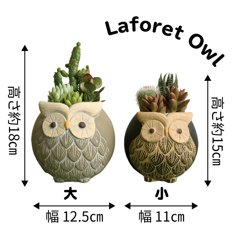 陶製ポット入り多肉寄せ植え販売中！】サボテン村岐孝園の高品質な多肉