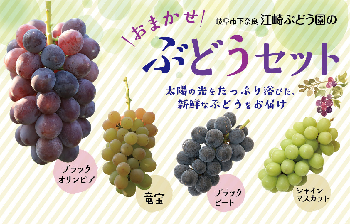 江崎ぶどう園の『ぶどうセット』7月31日朝7時から販売開始！