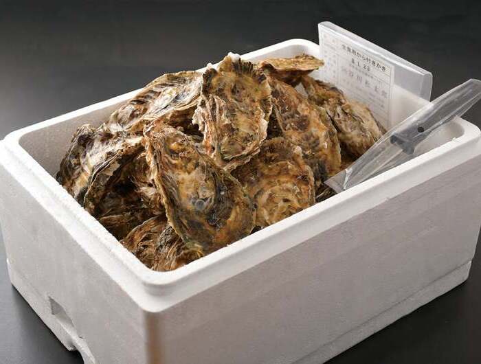 【殻付き生食用】伊勢志摩･鳥羽 浦村産ブランド牡蠣 3kg以上（30個以上保証）